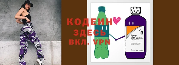 индика Михайловка
