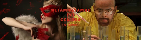 индика Михайловка