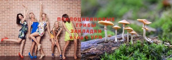 СК Михайлов