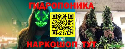 хмурый Бийск